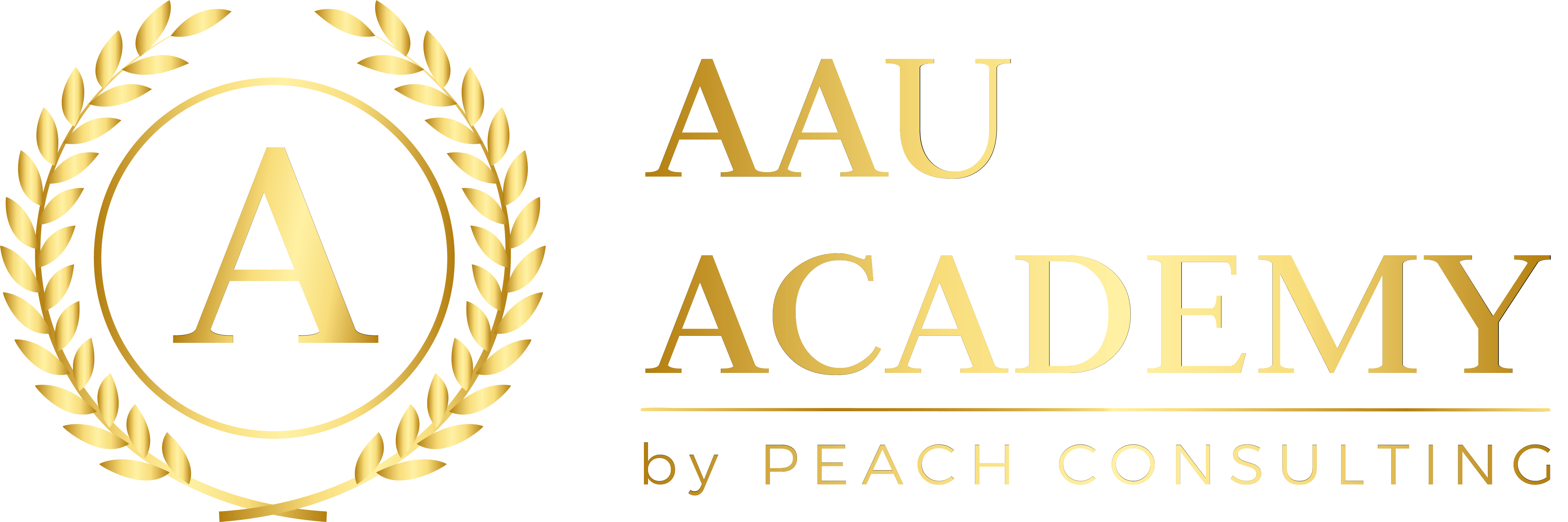 AAU Academy